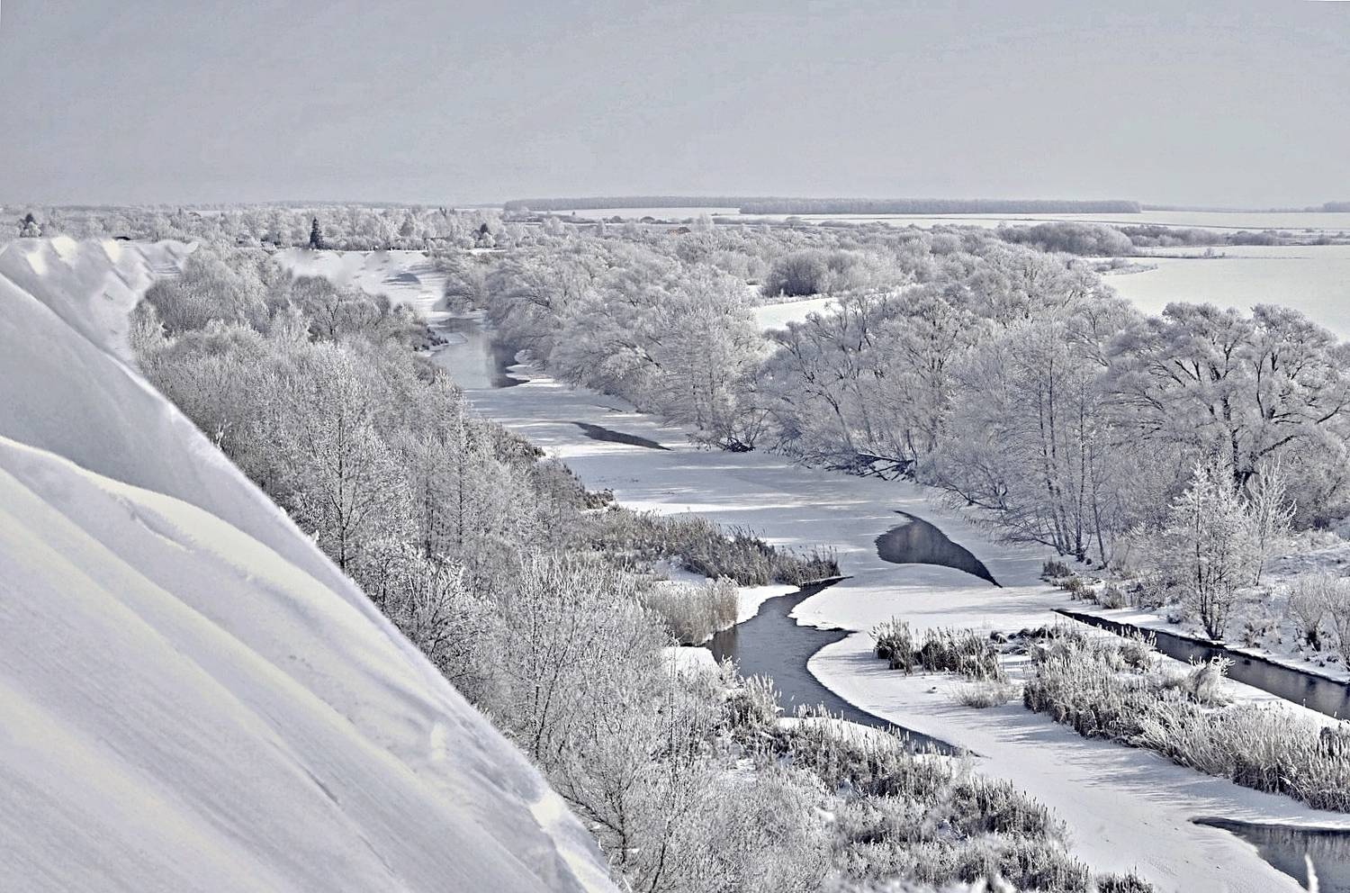 , Николай Бологов