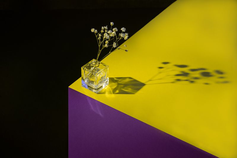 цвет натюрморт фиолетовый желтый красный зеленый геометрия Цветотерапия фото превью