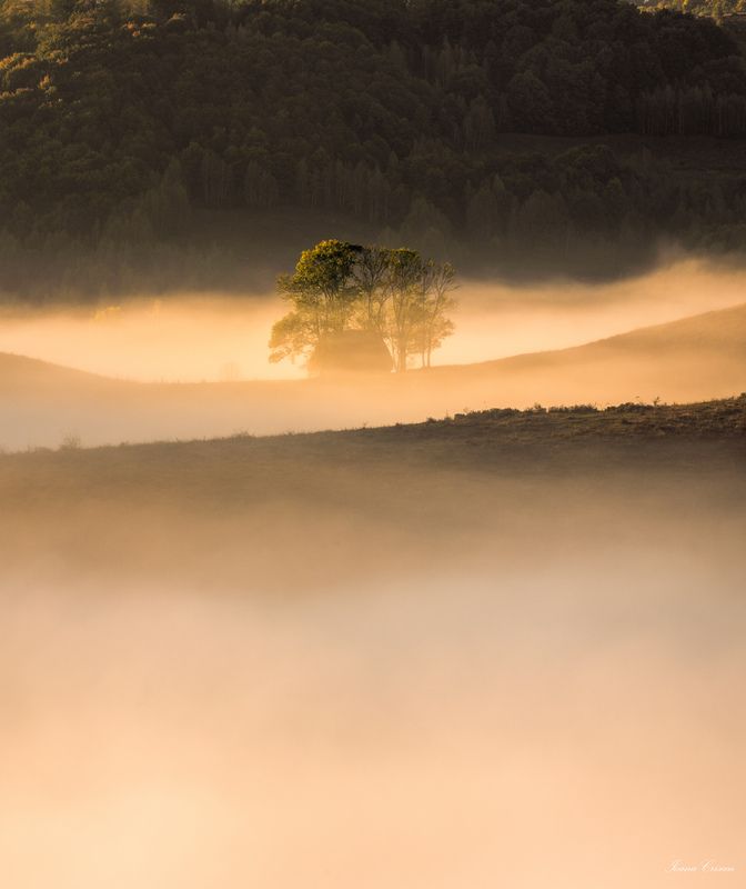 Foggy morning фото превью