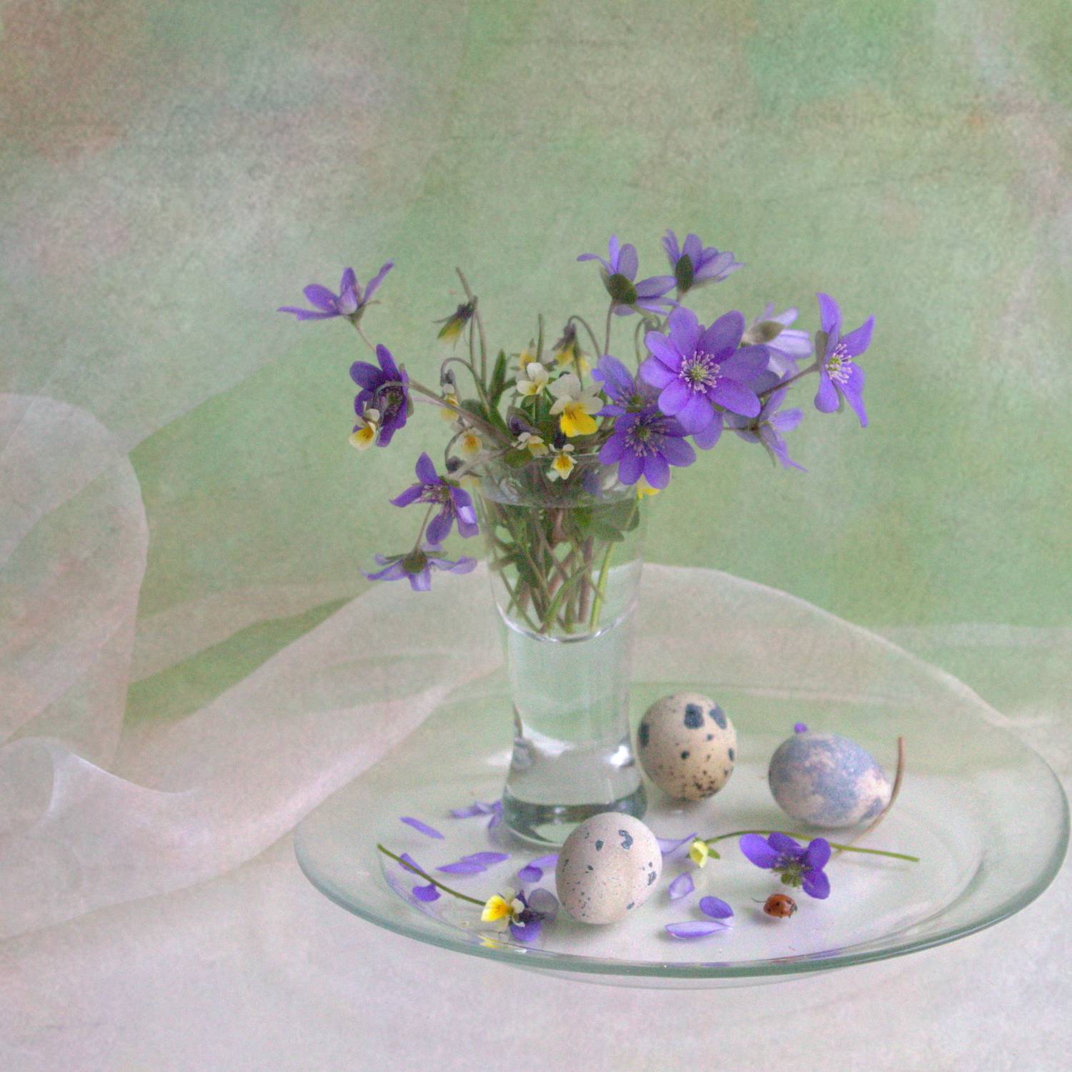 , Хохлова (Ермохина) Наталья