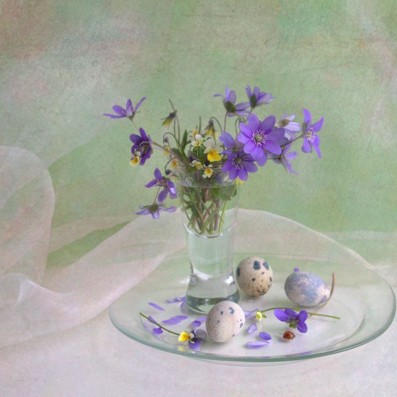 С первоцветами (второй вариант) фото превью