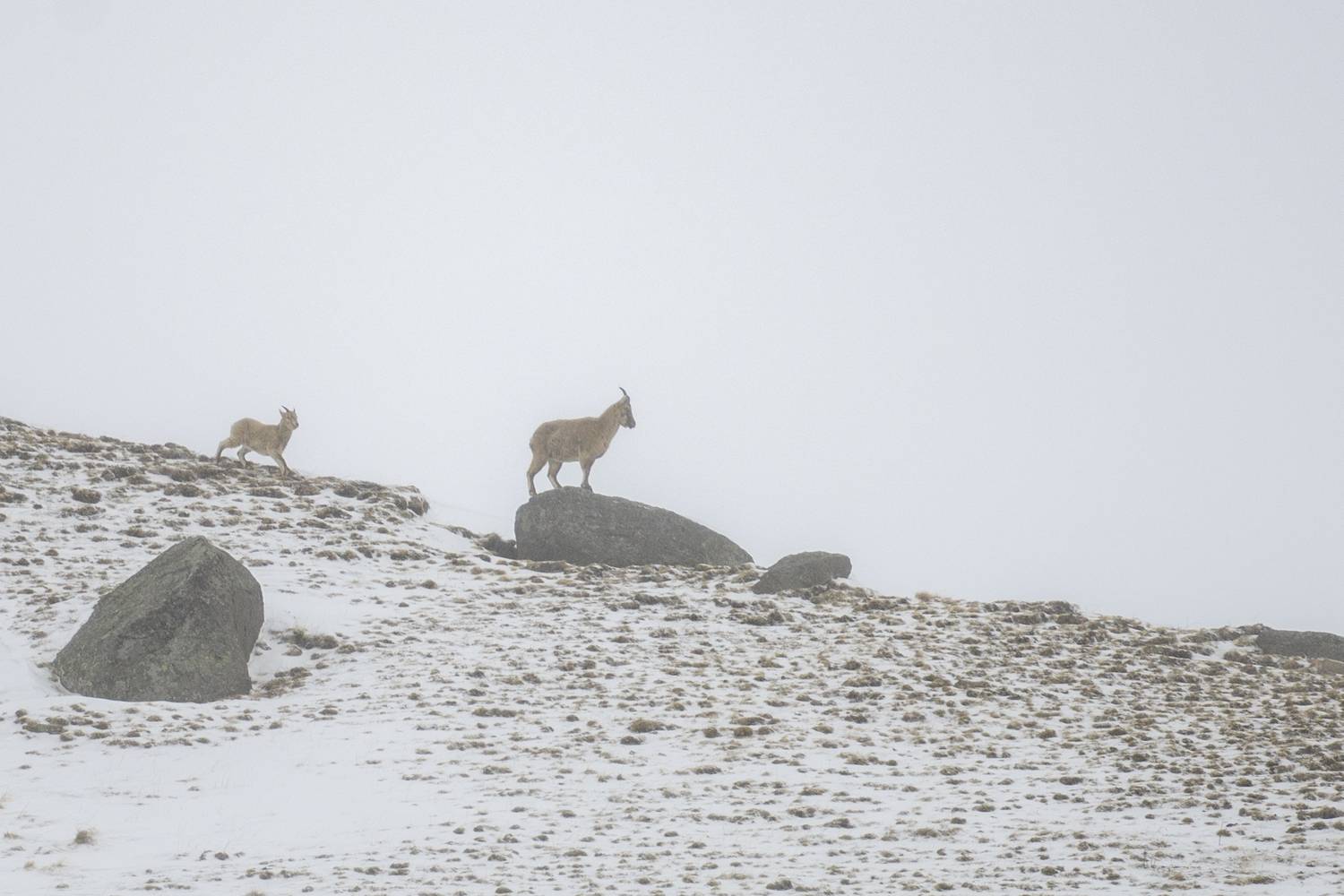 , Пупонин Сергей