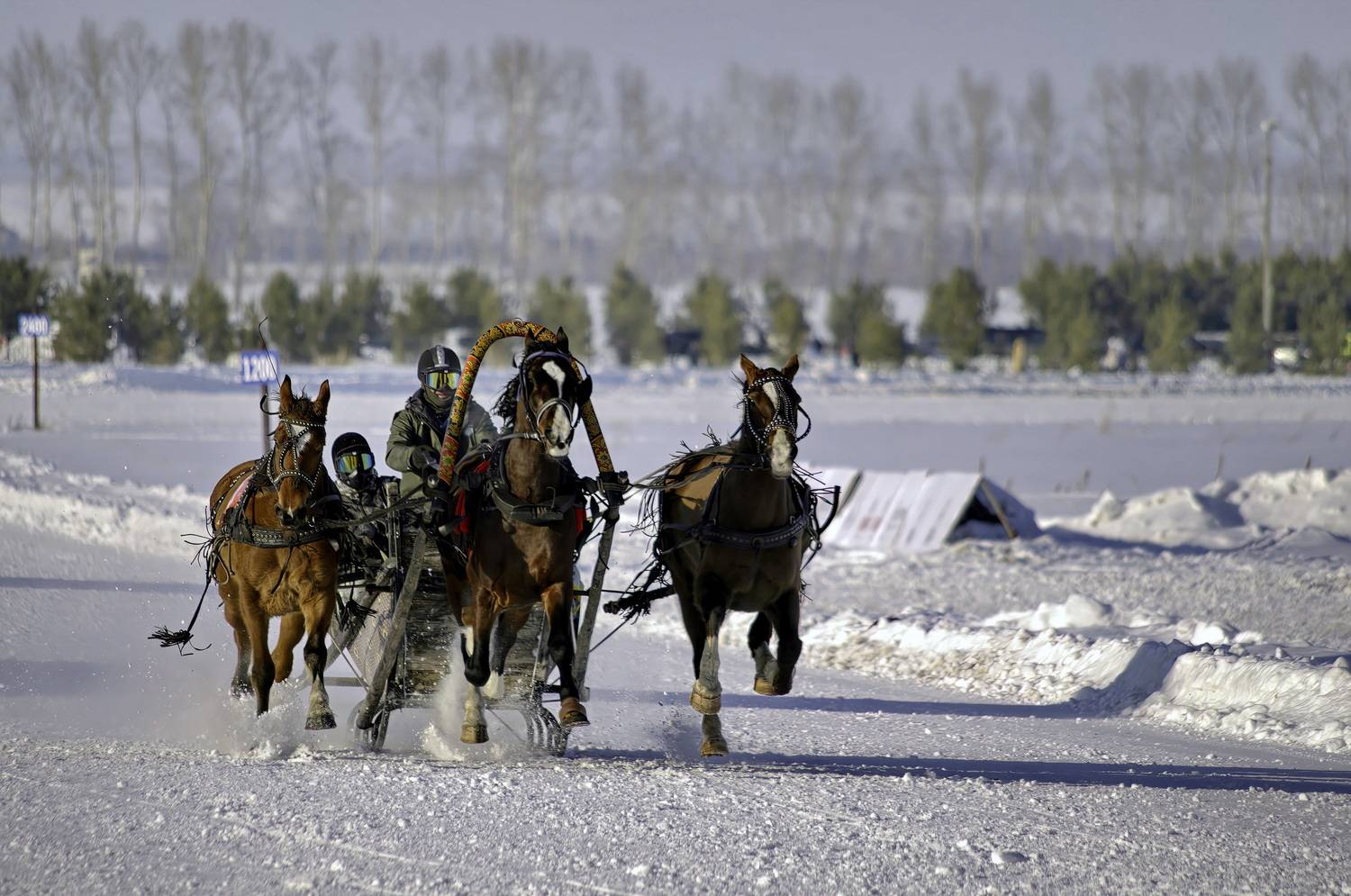, Кузнецов Дмитрий