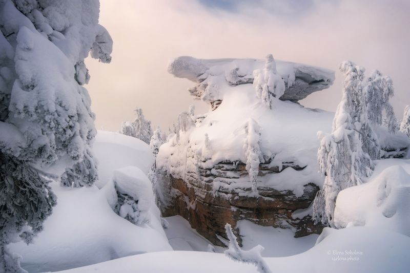 каменный город, зима, вечер, снег, большая черепаха Зимний вечер в снежном Каменном городе фото превью