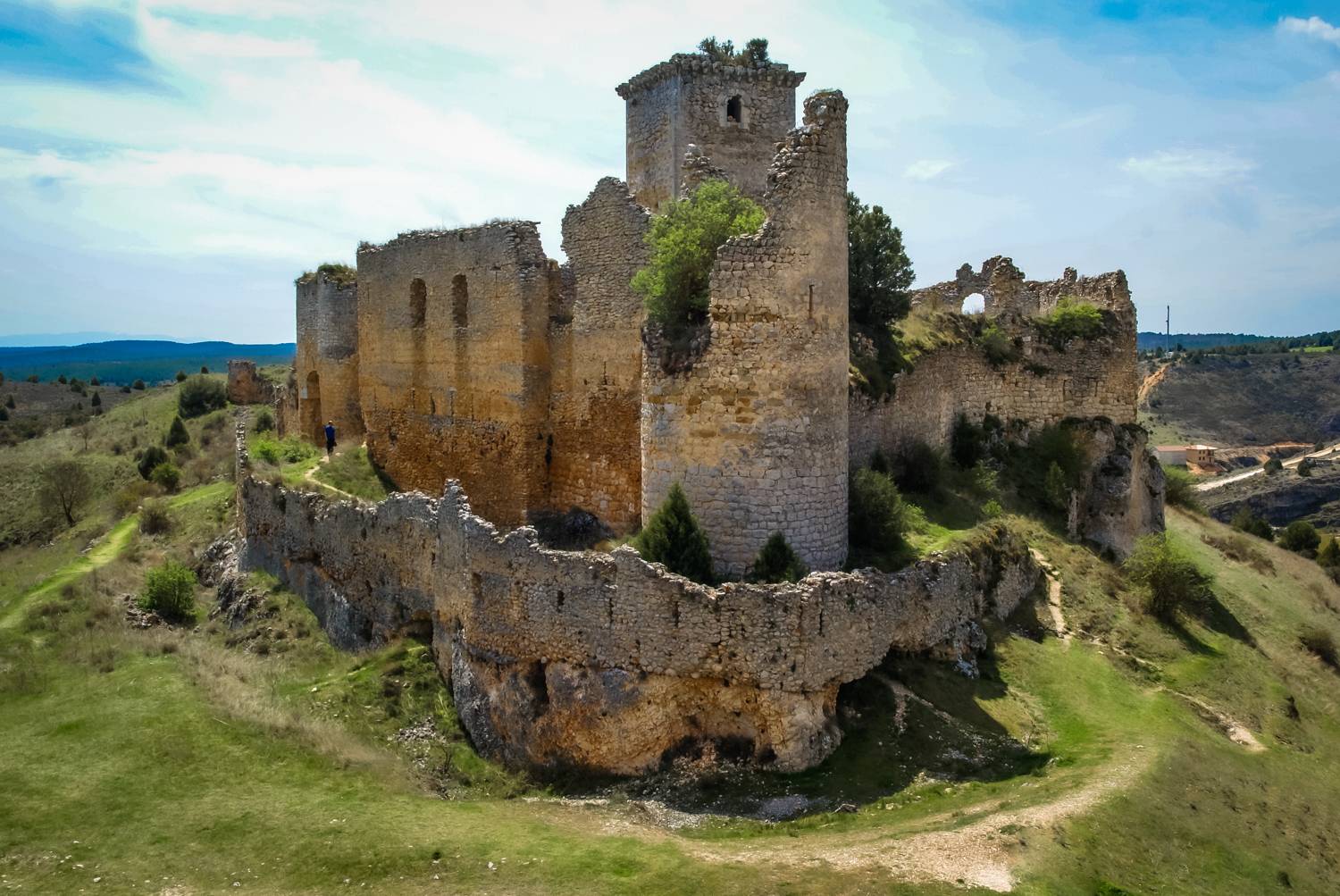 , Максимова Дария