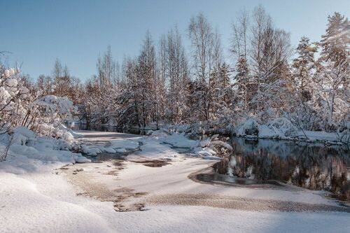 Незамерзающая речка Вьюн в Ленобласти