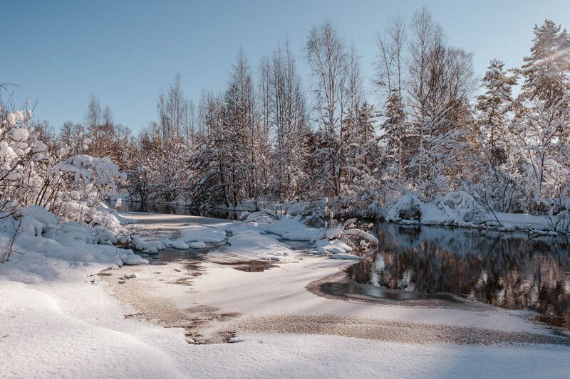 Незамерзающая речка Вьюн в Ленобласти фото превью