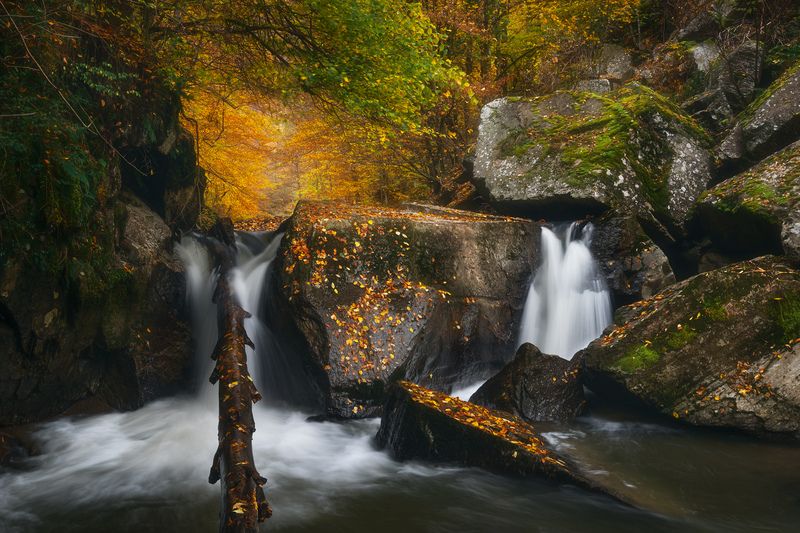 Crash фото превью