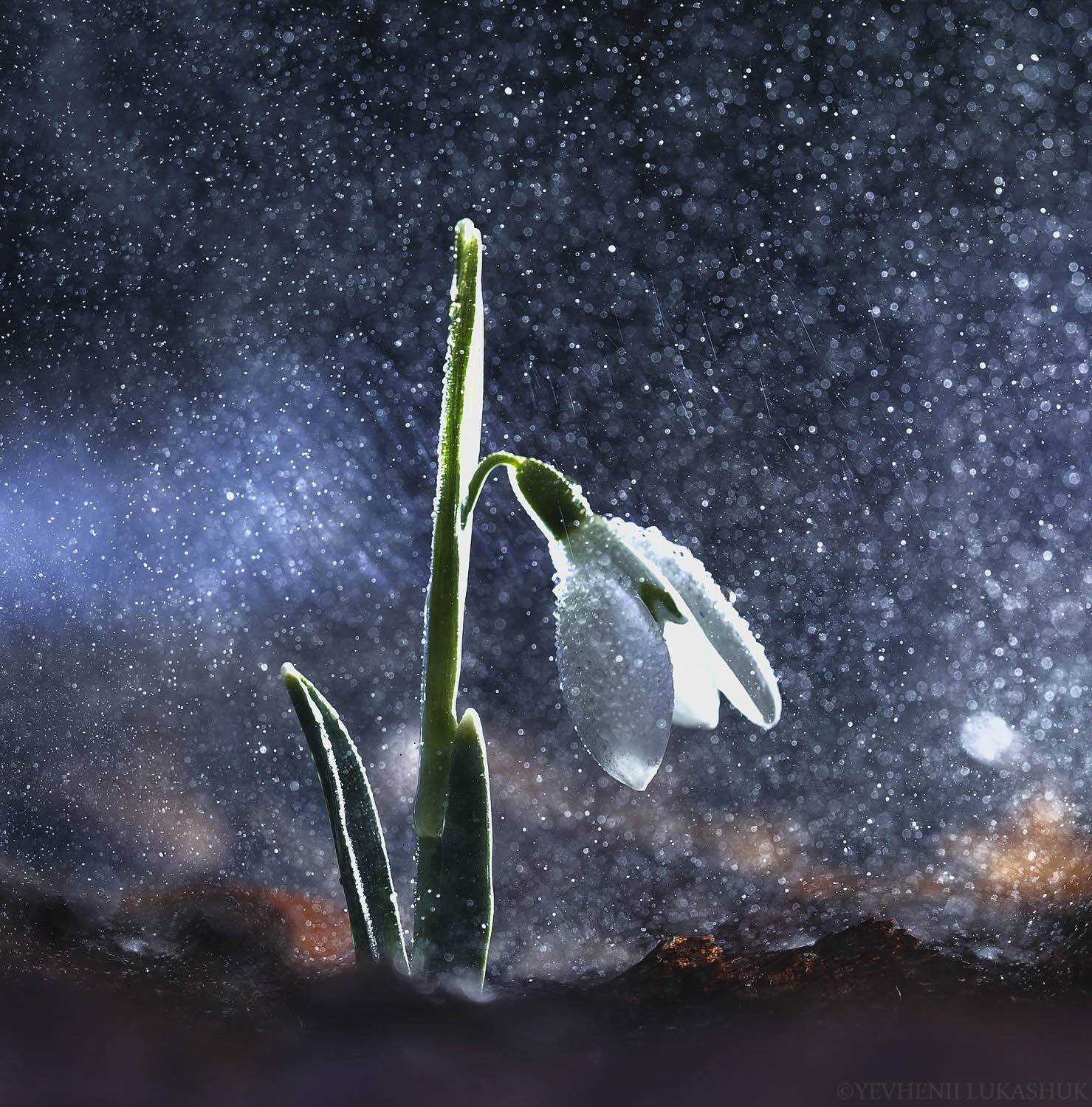 , Лукашук Евгений