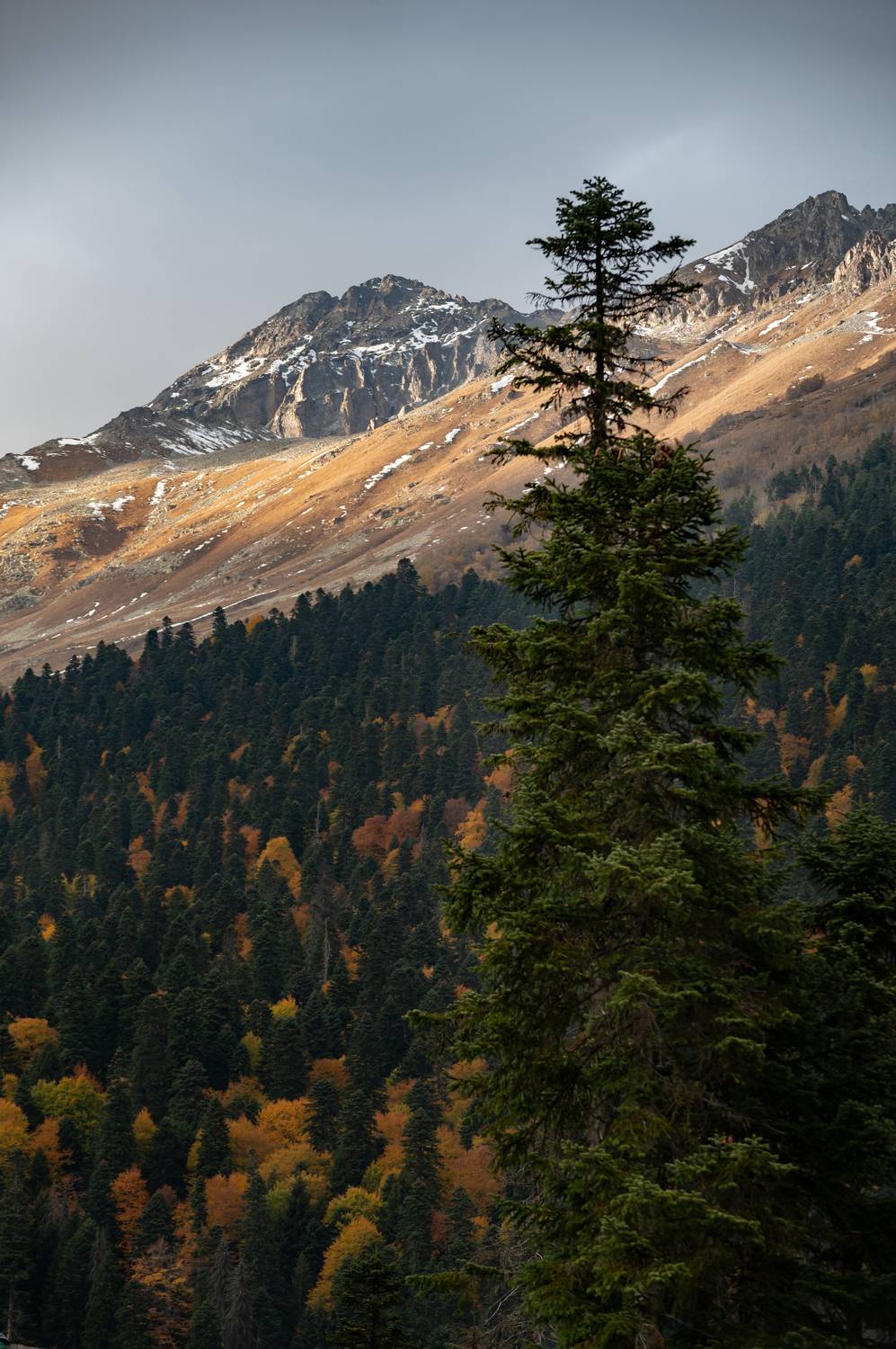 , Перевозчиков Андрей