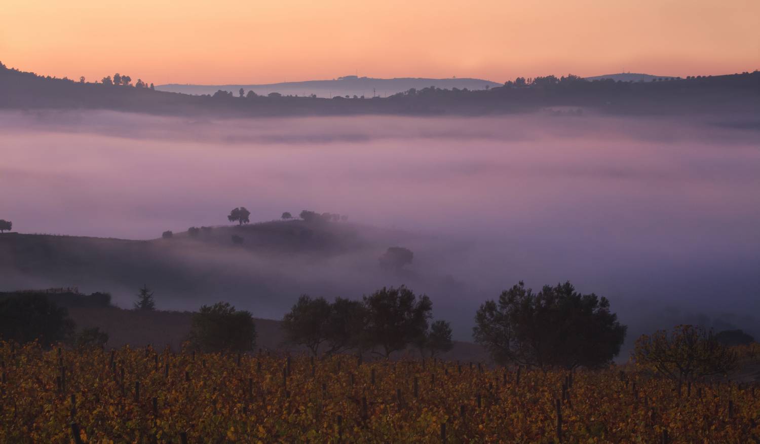 туман пейзаж утро, Мурзинов Виктор