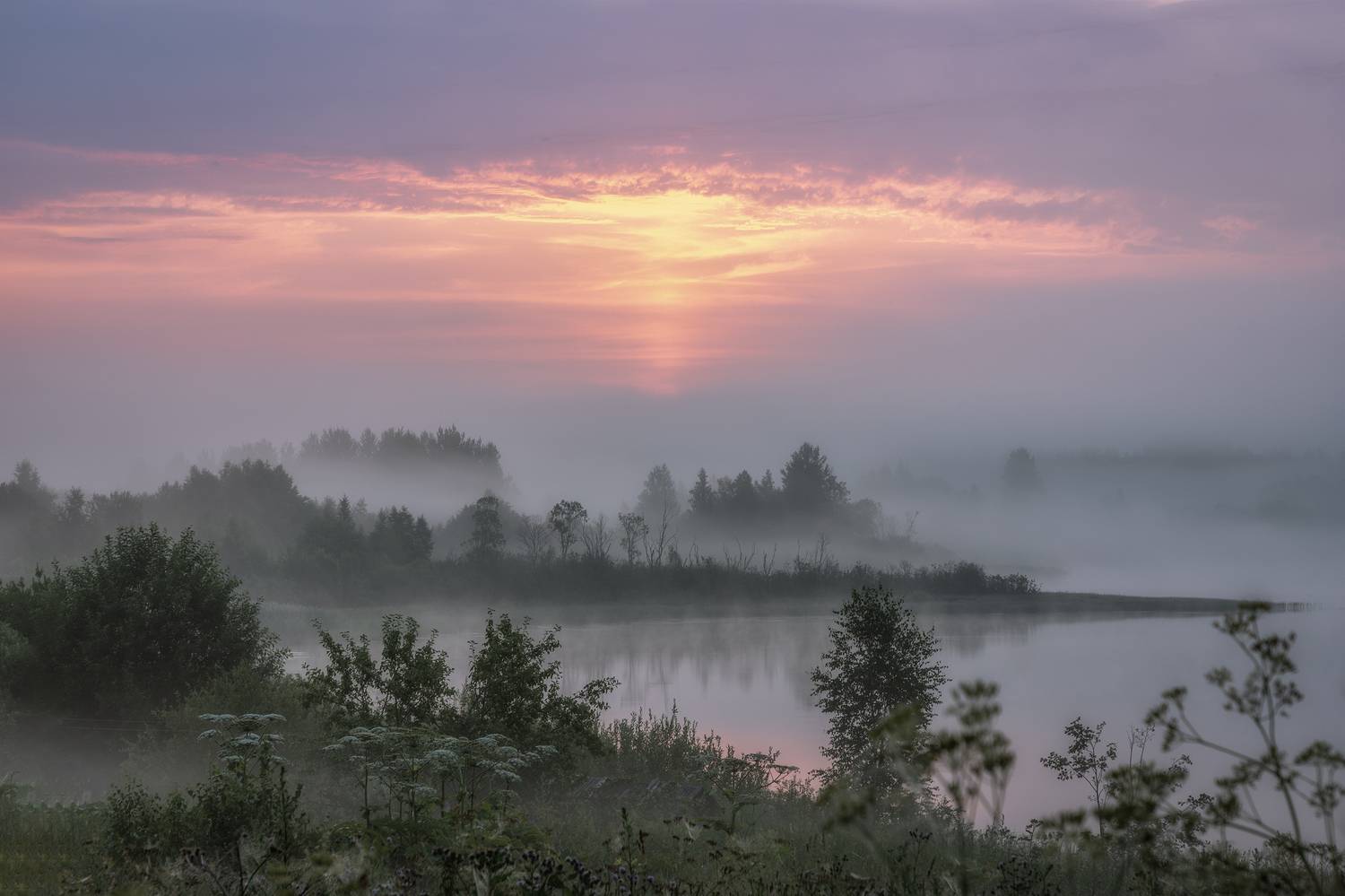 Тверская область, Гусева Елена