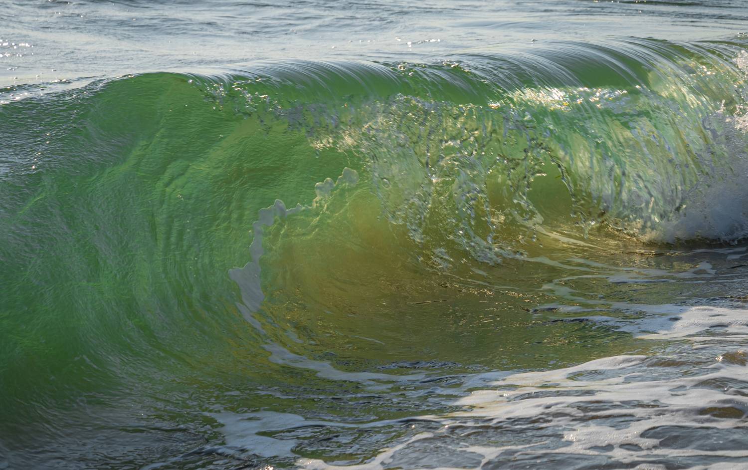 , Максимова Дария