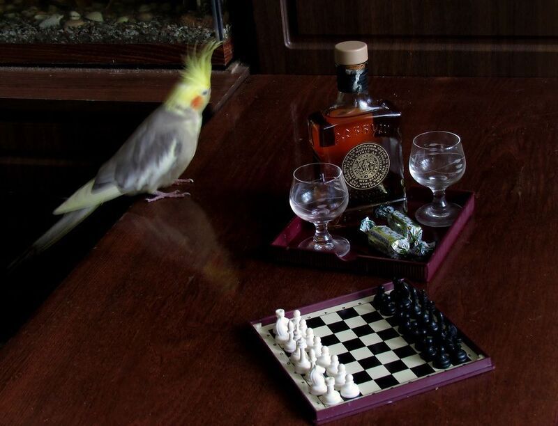 фото превью