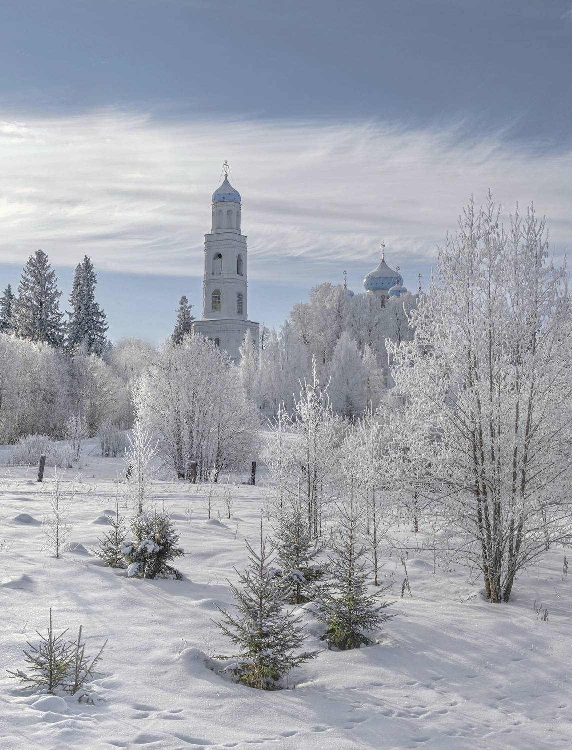 , Заикин Владимир