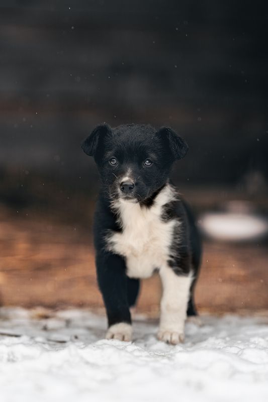 Мама, где ты? фото превью