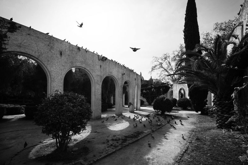 Базар фото превью