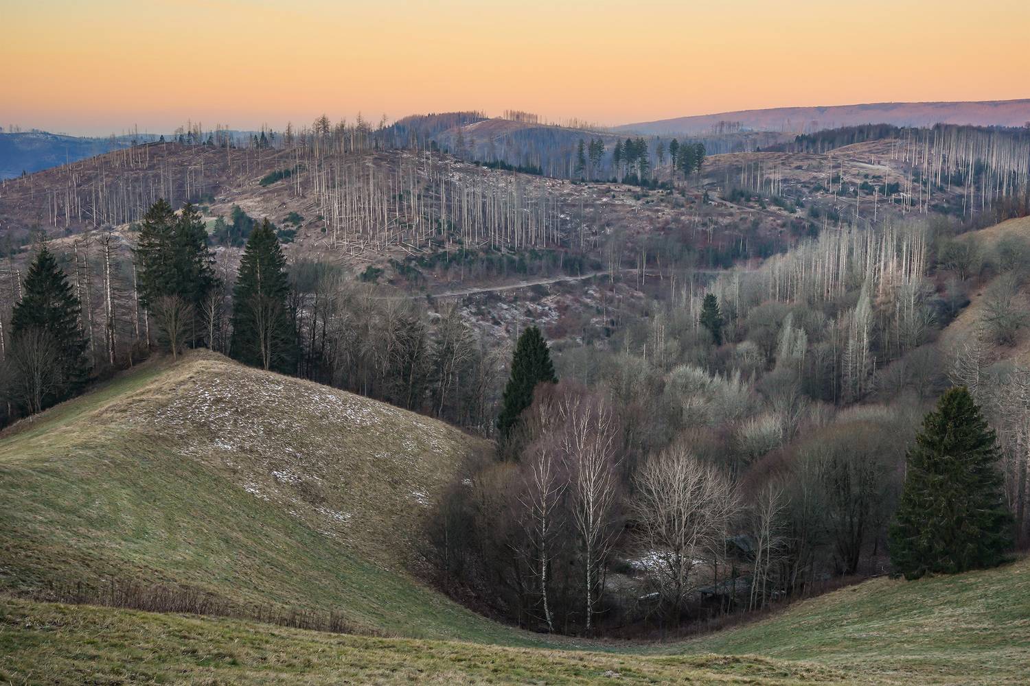 , Игорь Дубровский