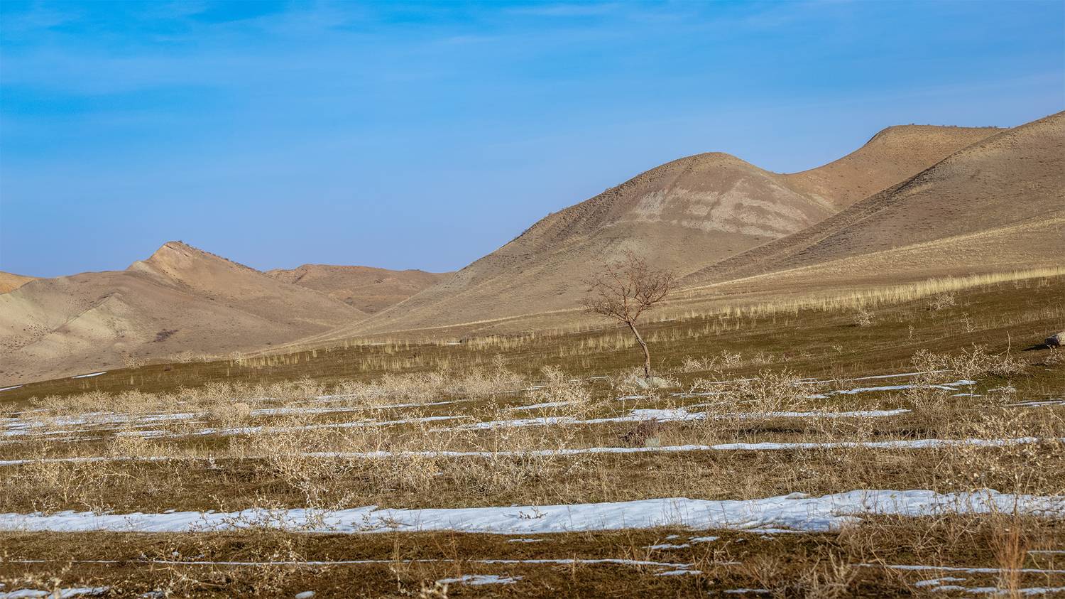 кыргызстан, Элина Магалимова