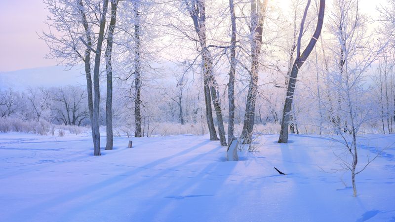 Февральская зима. фото превью