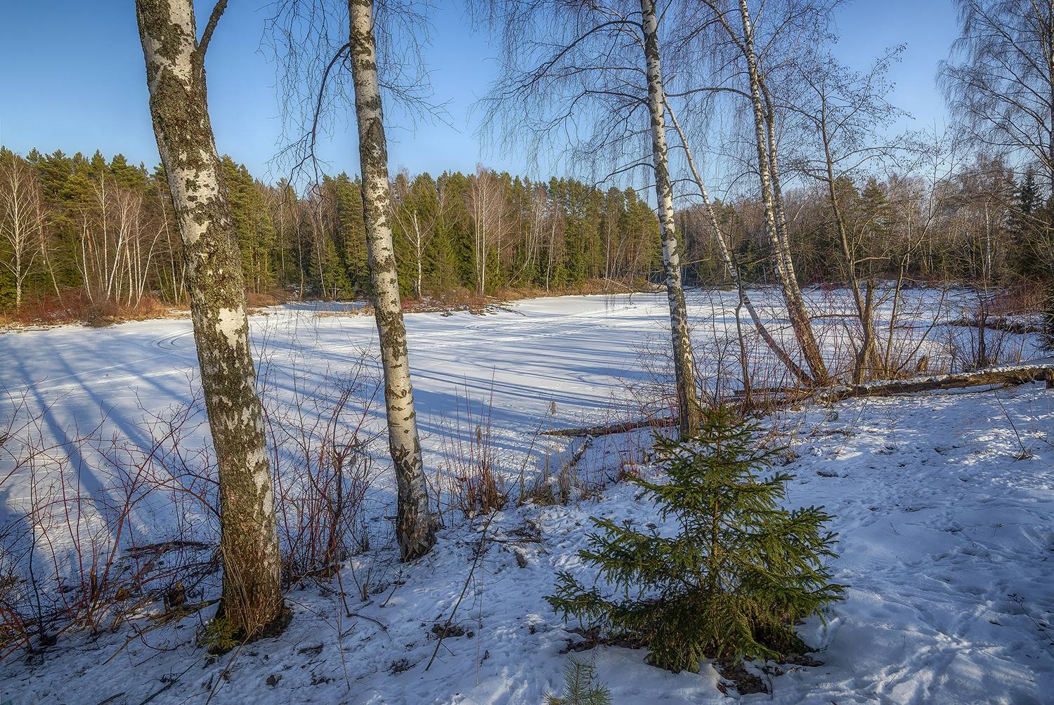 , Сергей Аникин