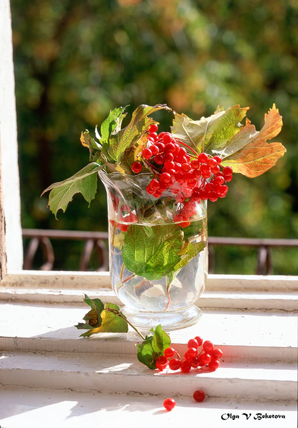 натюрморт осень калина, Бекетова Ольга
