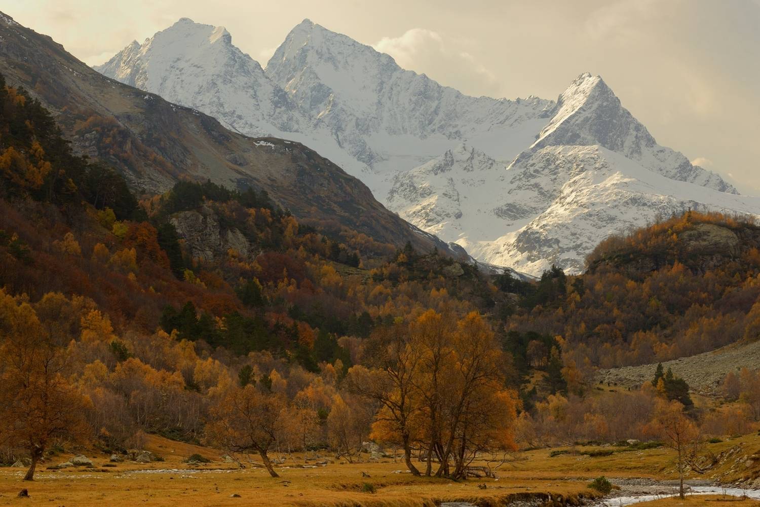 горы осень кавказ, Александр Жарников