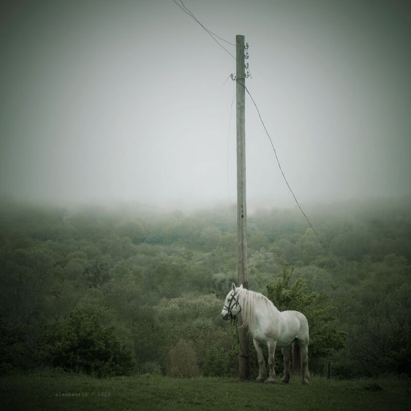 Untitled фото превью