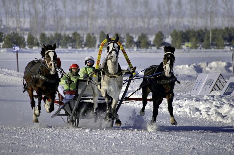 Скачки на масленицу1 фото превью