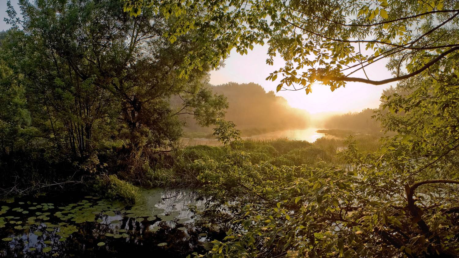 , Вертиков Юрий