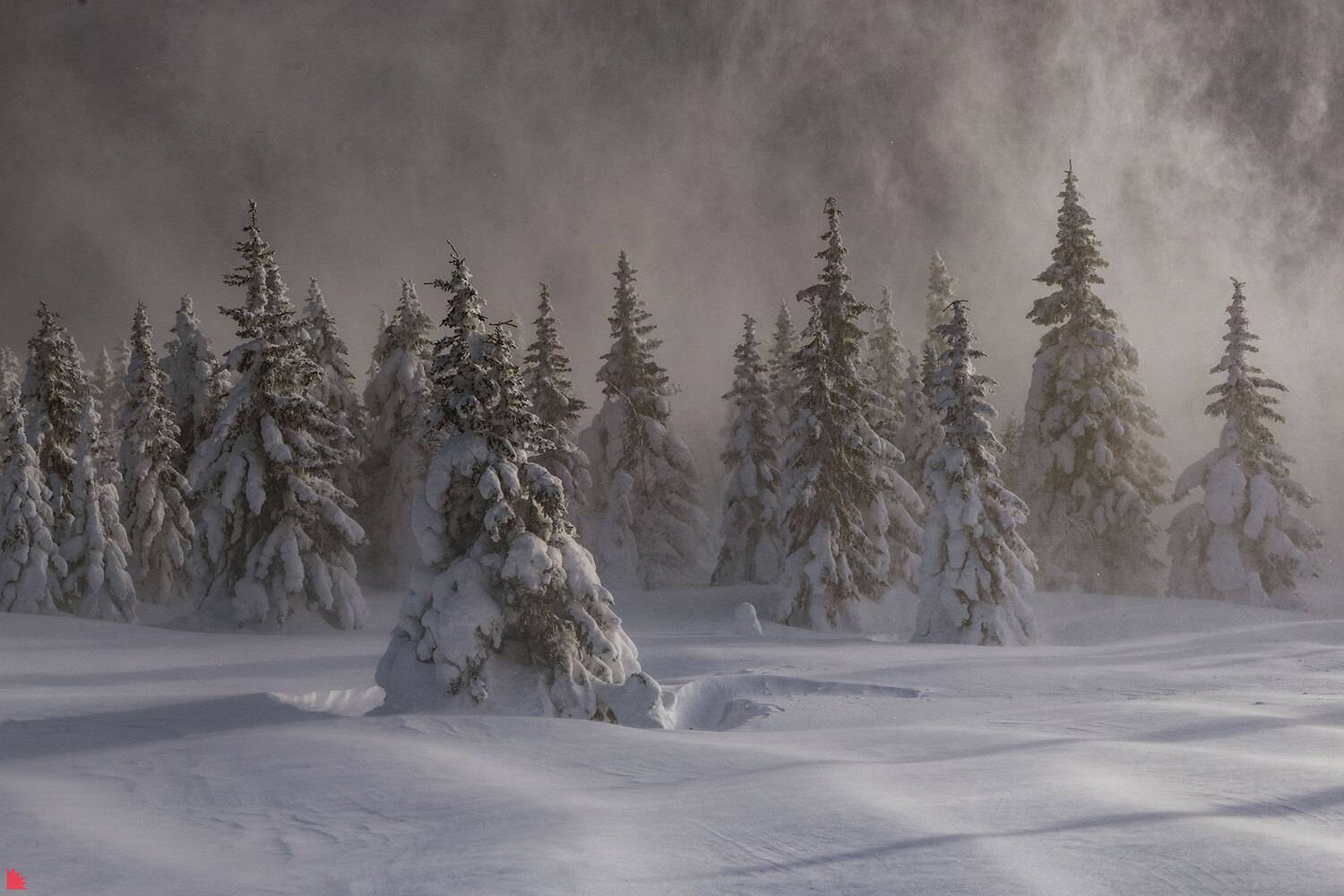 таганай, зима, метель, горы, снег, Осипов Ёжъ Александр