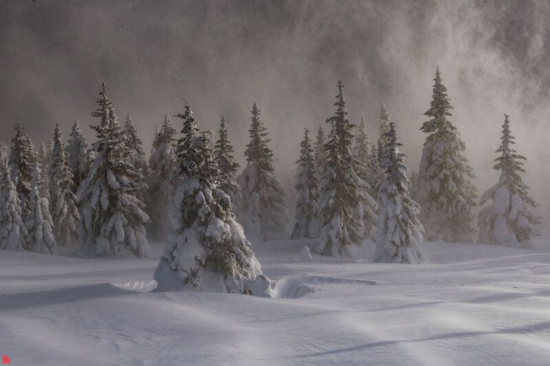 таганай, зима, метель, горы, снег 31 ель фото превью