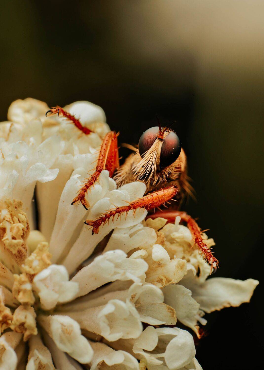 , Любовь Маслова