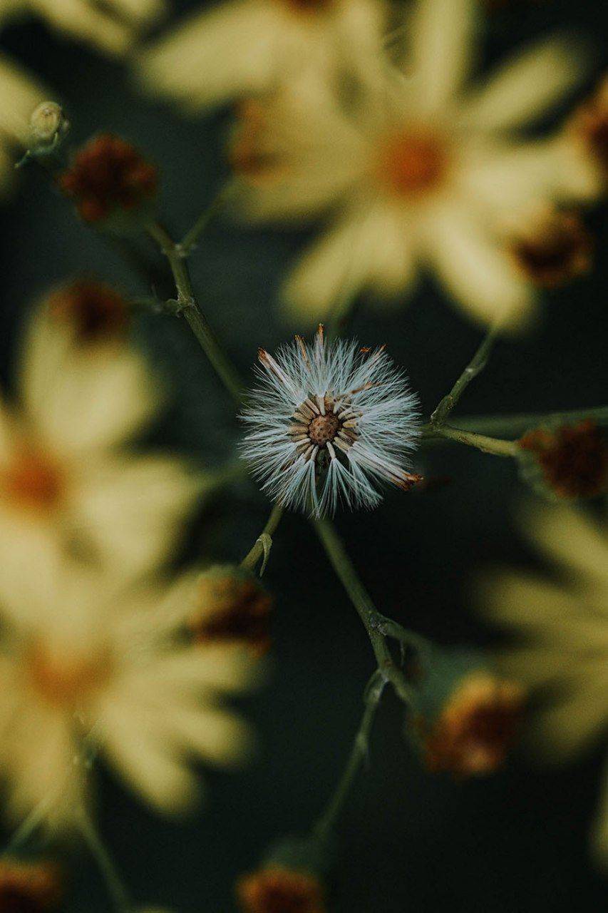 , Любовь Маслова