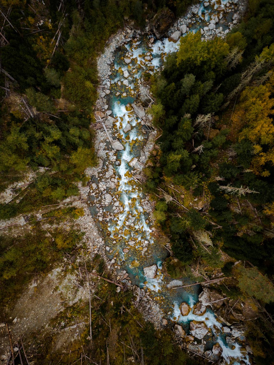 , Перевозчиков Андрей