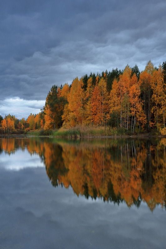отражение Сферическая осень в вакууме фото превью