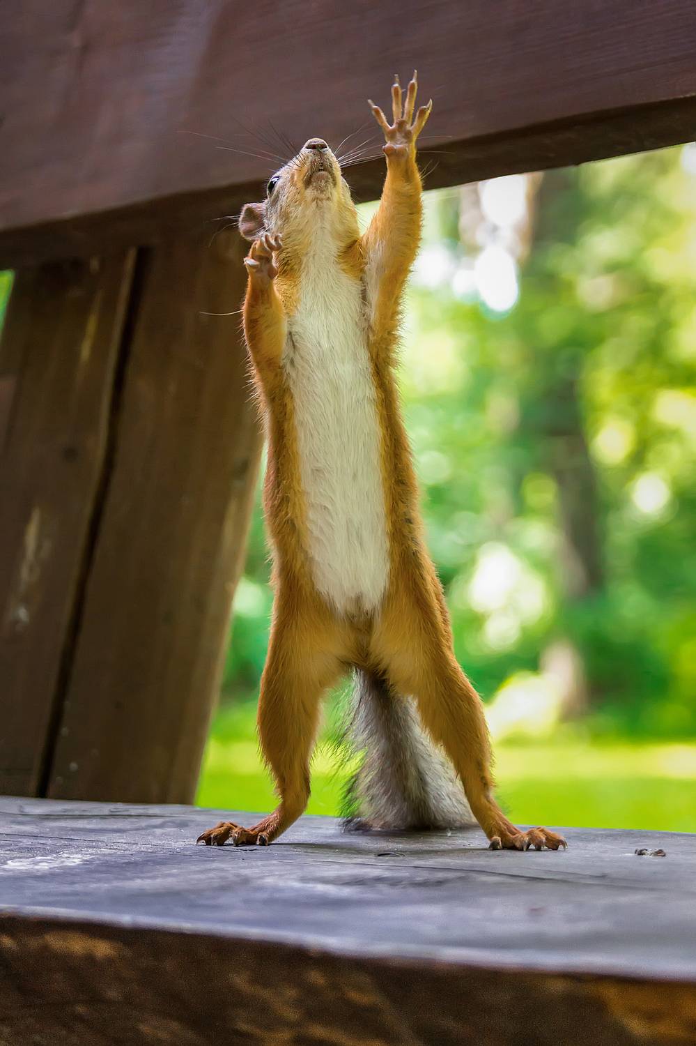 , Корнеев Алексей