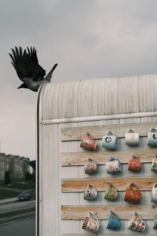 ... фото превью