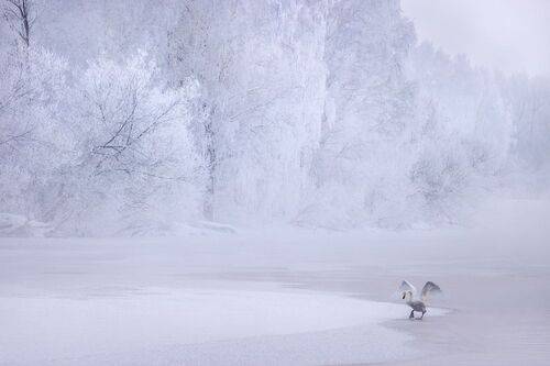 Зимний балет