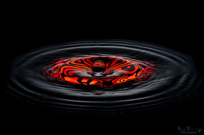 сергейтолмачев, вода, капли, скульптурыизводы, всплеск, уменянакухне, жидкоеискусство, Самая красивая капля фото превью