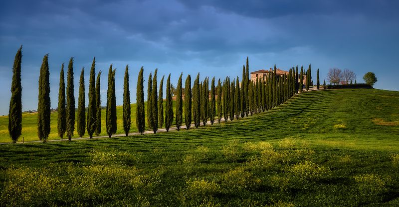 аллея фото превью