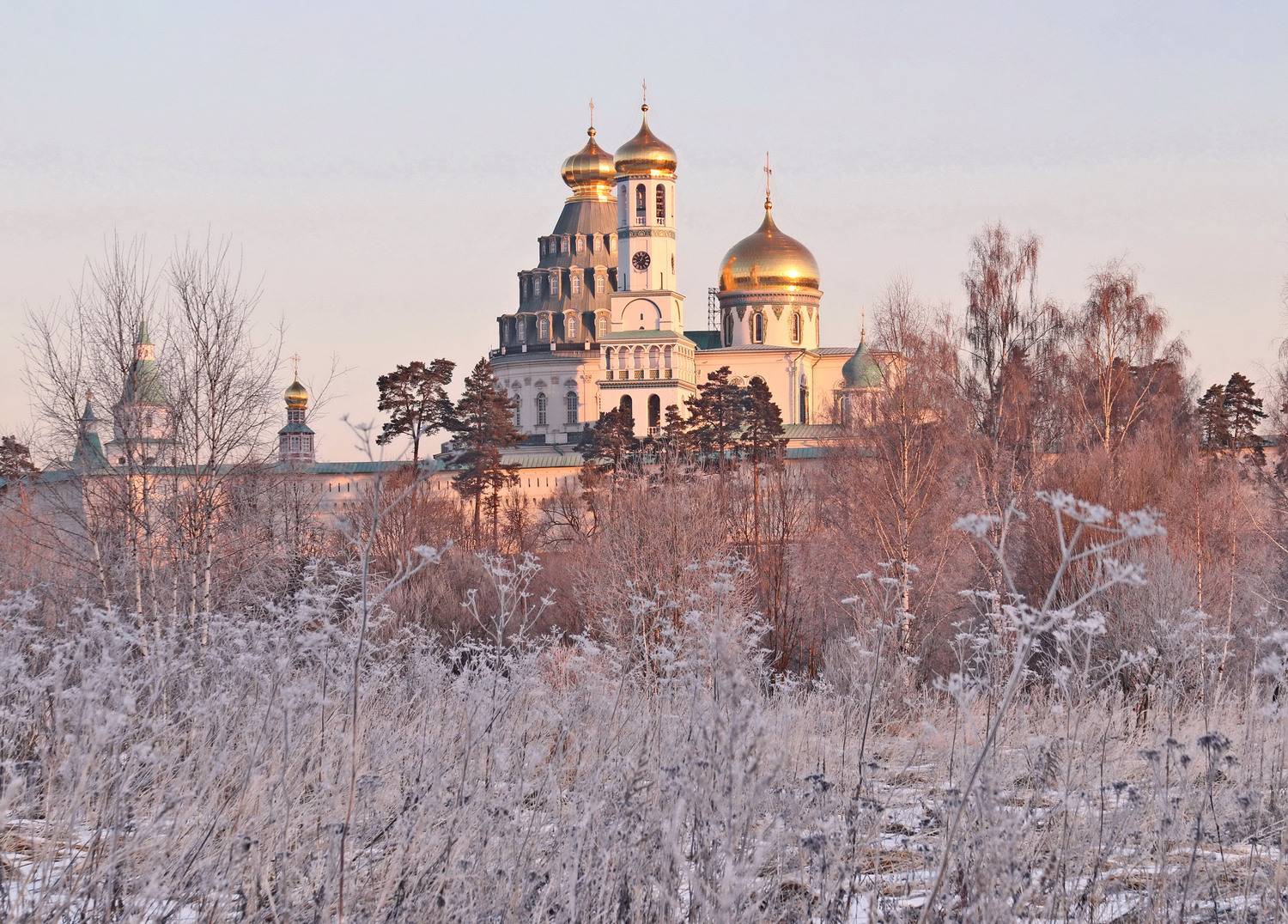 , Добролюбова Тамара