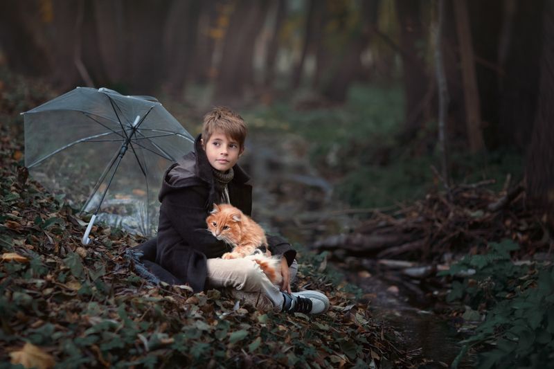 фото превью