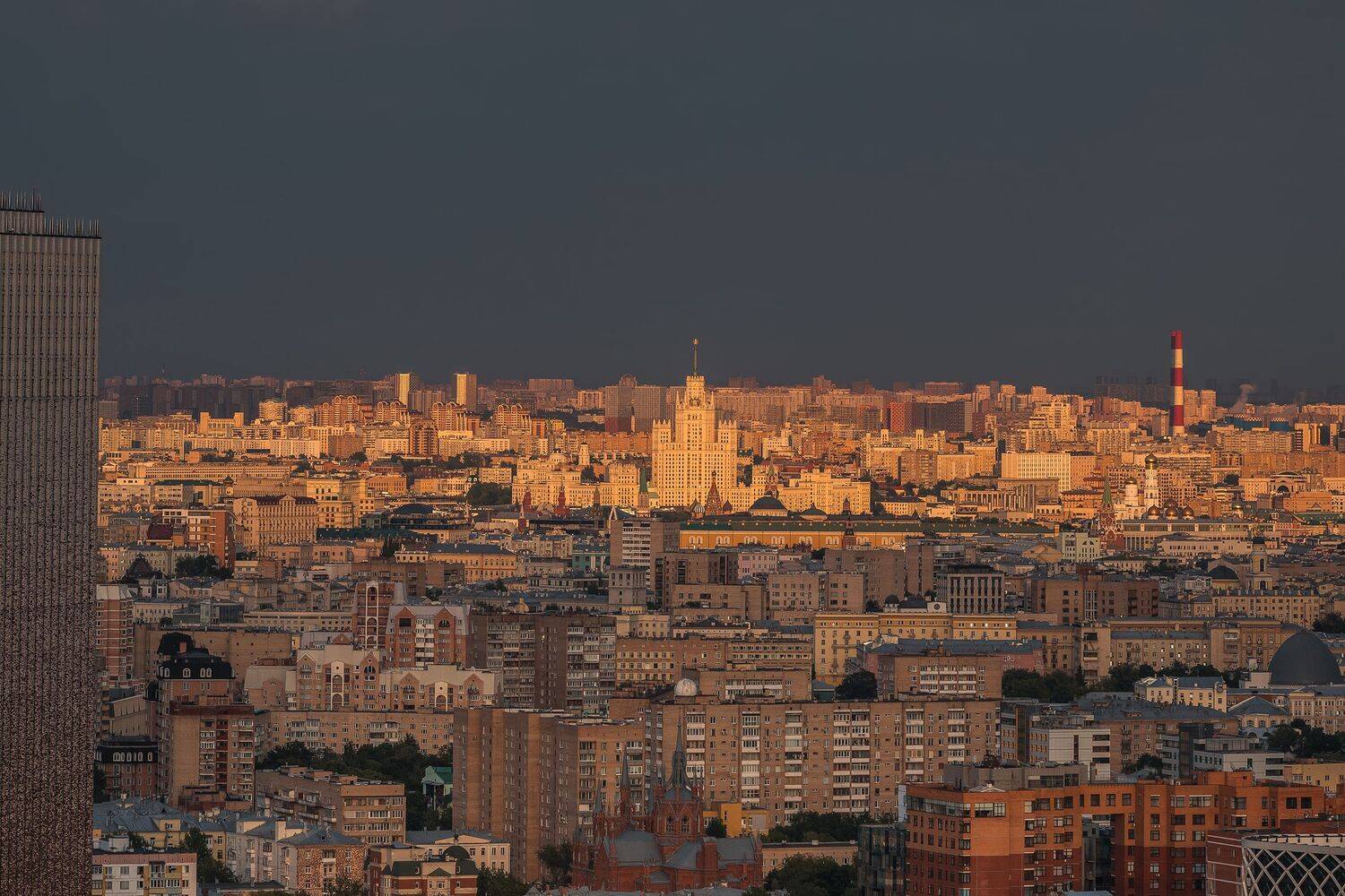 , Трепольский Дмитрий