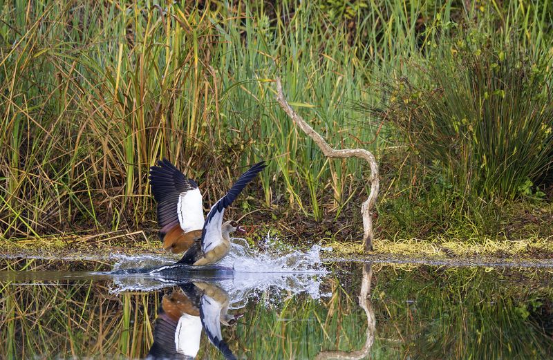 Пленэр. фото превью
