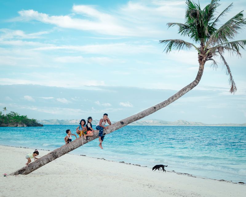 фото превью