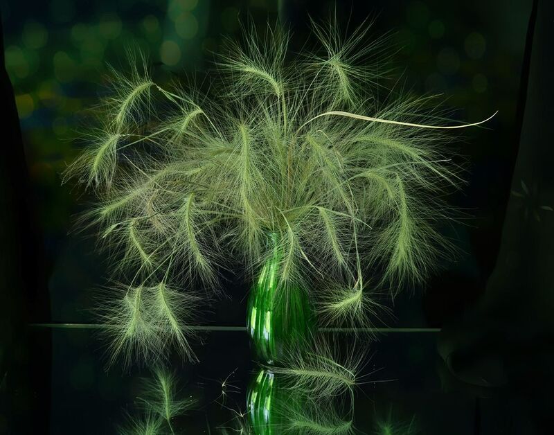 натюрморт,композиция,свет,лето,букет *** фото превью