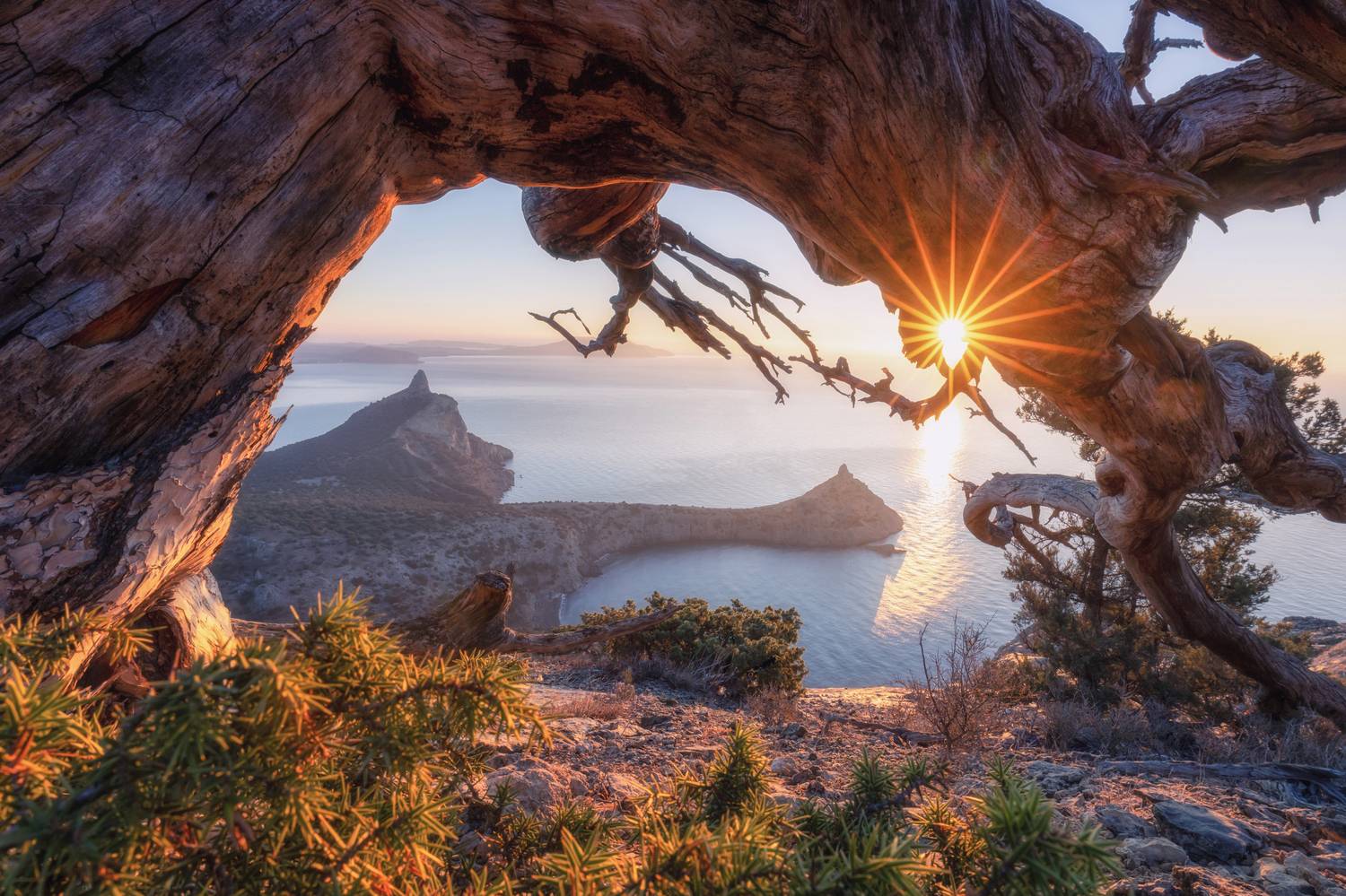 крым, новый свет, судак, пейзаж, рассвет, горы, море, landscape, crimea, Дмитренко Екатерина