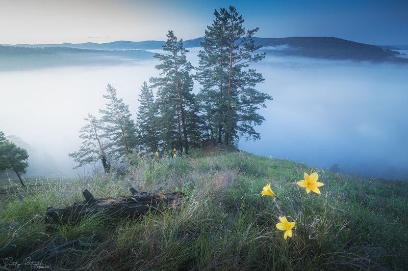 Сопка у Кручины фото превью