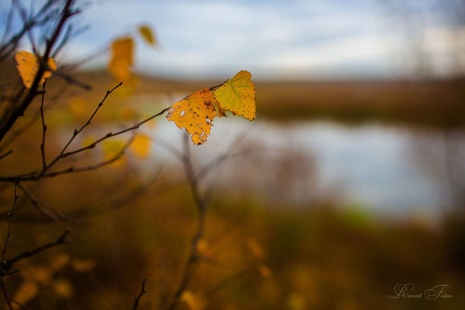 , Фотов Ренат